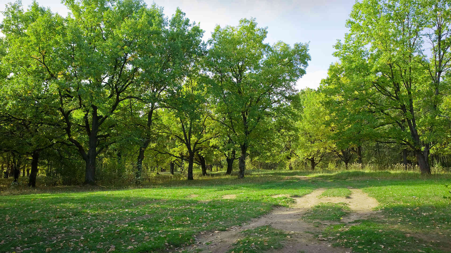 dogaya saygiliyiz Ana Sayfa
